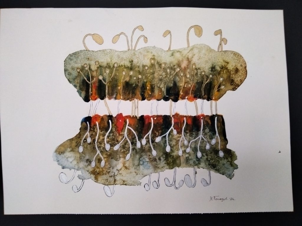M01 NATURES 30X21 AQUAREL·LA + ACRÍLIC + ROTUS 75,00 €
