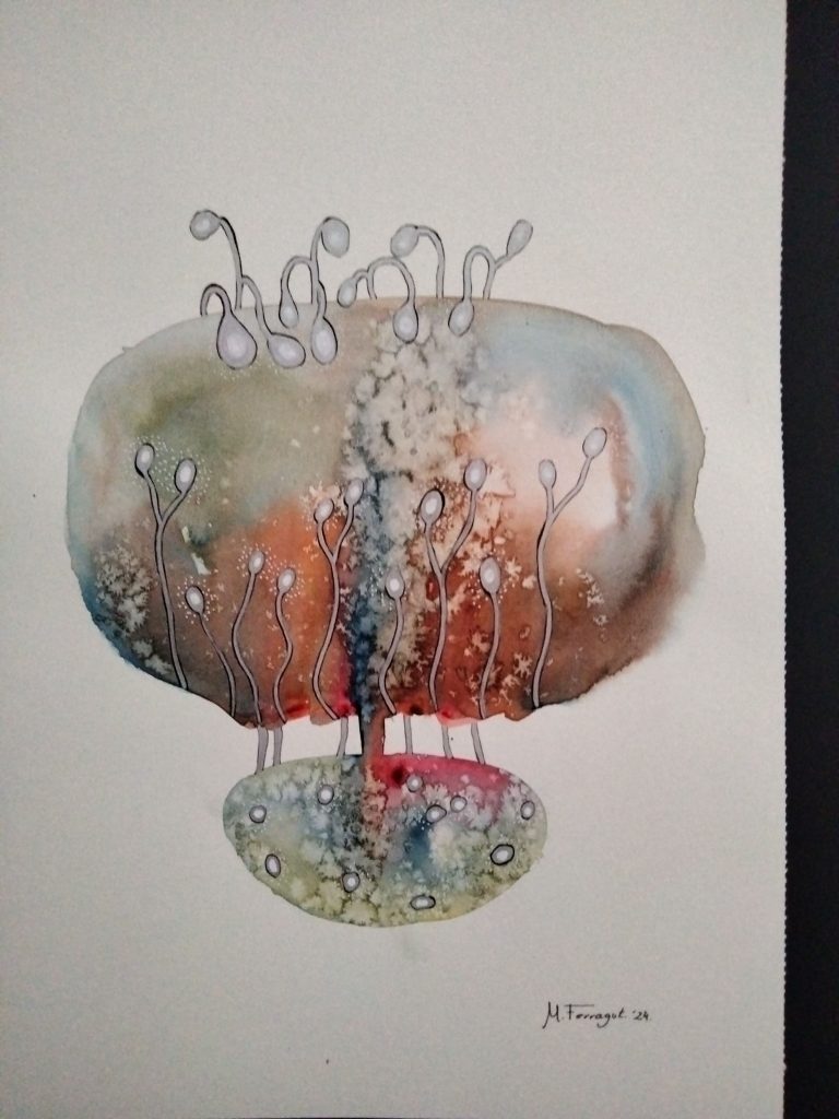 M04 NATURES 30X42 AQUAREL·LA + ROTUS 75,00 €