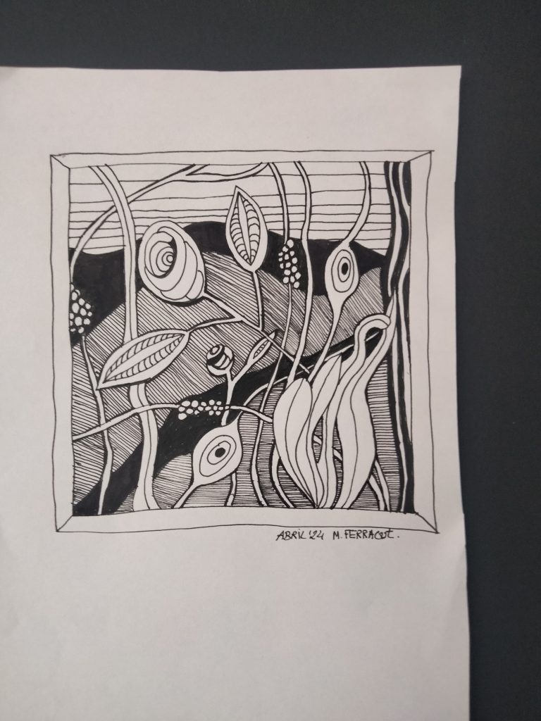Z10 ZENTANGLE 20X15 ROTUS 25,00 €